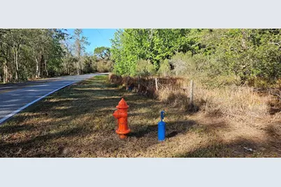 Timberlane Road, Lake Wales, FL 33898 - Photo 4