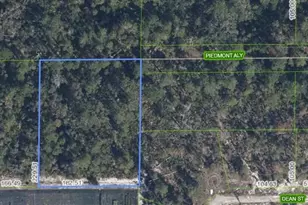 4327 Piedmont Alley, Sebring, FL 33875 - Photo 1