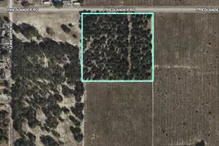 Friedlander Rd, Babson Park, FL 33827 - Photo 1