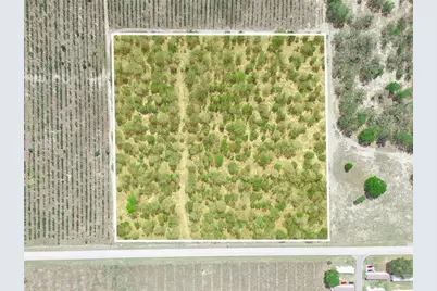 Friedlander Road, Babson Park, FL 33827 - Photo 6