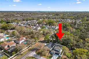 7304 Ardenwood, Tampa, FL 33625 - Photo 46