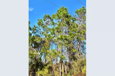 6070 E Arbuckle Road, Avon Park, FL 33825 - Photo 2