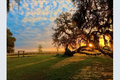 15300 Lake Iola Road, Dade City, FL 33523 - Photo 16