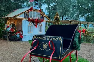 15300 Lake Iola Rd, Dade City, FL 33523 - Photo 14