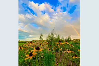 15300 Lake Iola Road, Dade City, FL 33523 - Photo 24