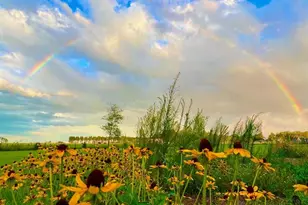 15300 Lake Iola Rd, Dade City, FL 33523 - Photo 24