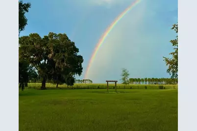 15300 Lake Iola Road, Dade City, FL 33523 - Photo 38