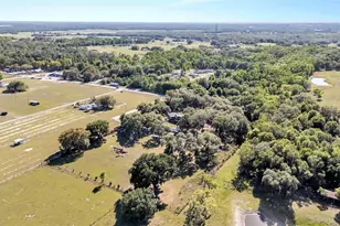 15300 Lake Iola Rd, Dade City, FL 33523 - Photo 80