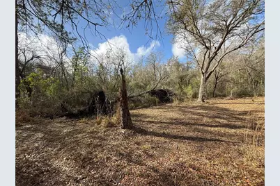 12708 Farmettes Road, Lakeland, FL 33809 - Photo 4