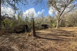 12708 Farmettes Rd, Lakeland, FL 33809 - Photo 4