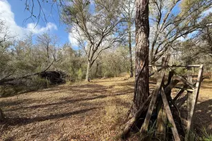 12708 Farmettes Rd, Lakeland, FL 33809 - Photo 2