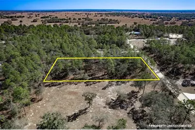 Undetermined Terrace, Dunnellon, FL 34432 - Photo 6