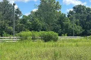 10553 NE 36th Ave, Anthony, FL 32617 - Photo 4