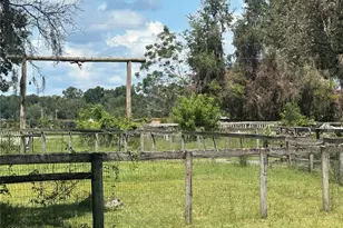 10553 NE 36th Ave, Anthony, FL 32617 - Photo 4