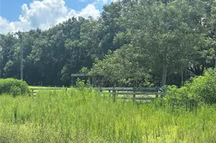 10553 NE 36th Ave, Anthony, FL 32617 - Photo 2