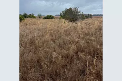 1137 Hopkins Lane, Zolfo Springs, FL 33890 - Photo 2