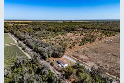 8301 Henry George Road, Plant City, FL 33567 - Photo 46