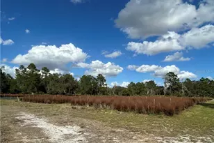 9210 County Rd 635, Sebring, FL 33875 - Photo 6