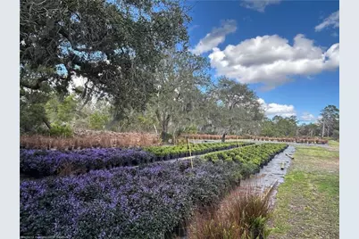 9210 County Road 635, Sebring, FL 33875 - Photo 16