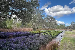 9210 County Rd 635, Sebring, FL 33875 - Photo 16