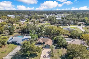 8431 Delaware Dr, Weeki Wachee, FL 34607 - Photo 4