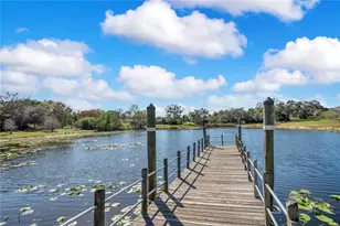 8431 Delaware Dr, Weeki Wachee, FL 34607 - Photo 58