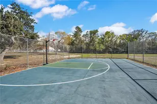 8431 Delaware Dr, Weeki Wachee, FL 34607 - Photo 56