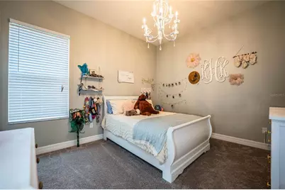 3716 Saylor Lane, Plant City, FL 33565 - Photo 62