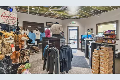 6205 Peacock Run, Lakeland, FL 33809 - Photo 60