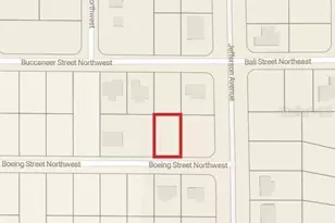 101 Boeing St NW, Lake Placid, FL 33852 - Photo 2