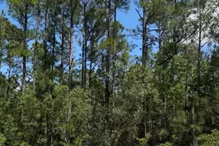 510 Hidden Palms Dr, Davenport, FL 33897 - Photo 1