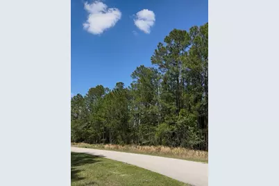 510 Hidden Palms Drive, Davenport, FL 33897 - Photo 4