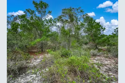 143 Patton Avenue, Lake Placid, FL 33852 - Photo 16