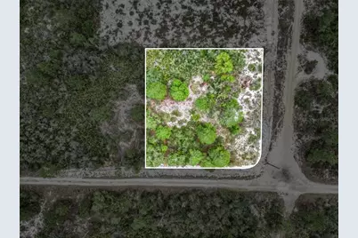 143 Patton Avenue, Lake Placid, FL 33852 - Photo 4