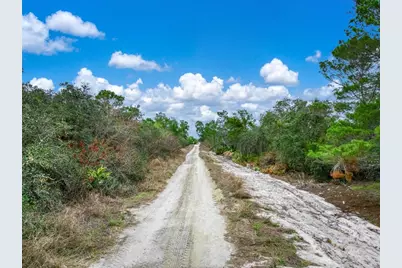 143 Patton Avenue, Lake Placid, FL 33852 - Photo 14