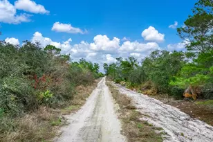 143 Patton Ave, Lake Placid, FL 33852 - Photo 14