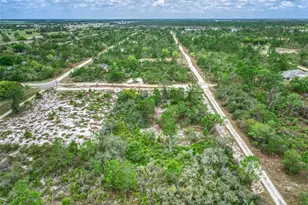 143 Patton Ave, Lake Placid, FL 33852 - Photo 8