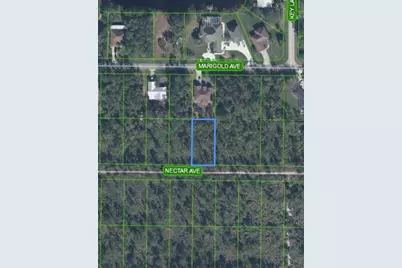 1702 Nectar Avenue, Sebring, FL 33875 - Photo 2