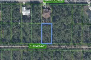 1702 Nectar Ave, Sebring, FL 33875 - Photo 2