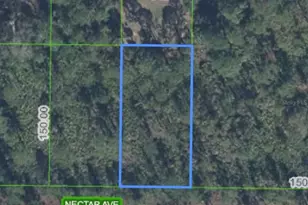 1702 Nectar Ave, Sebring, FL 33875 - Photo 1