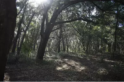 13800 County Road 450, Umatilla, FL 32784 - Photo 44