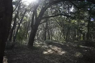 13800 Co Rd 450, Umatilla, FL 32784 - Photo 44