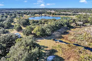 13800 Co Rd 450, Umatilla, FL 32784 - Photo 10