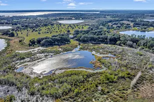 13800 Co Rd 450, Umatilla, FL 32784 - Photo 8