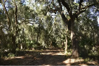 13800 County Road 450, Umatilla, FL 32784 - Photo 36