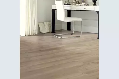 221 Dancing Dahlia Street, Ruskin, FL 33570 - Photo 4