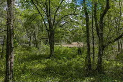 0 Clayton Road, Kathleen, FL 33849 - Photo 36