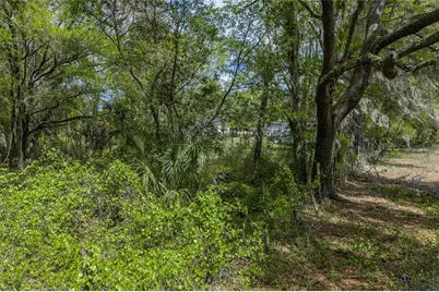 0 Clayton Road, Kathleen, FL 33849 - Photo 34