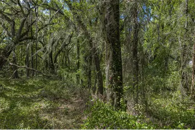 0 Clayton Road, Kathleen, FL 33849 - Photo 32