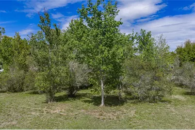 0 Clayton Road, Kathleen, FL 33849 - Photo 24